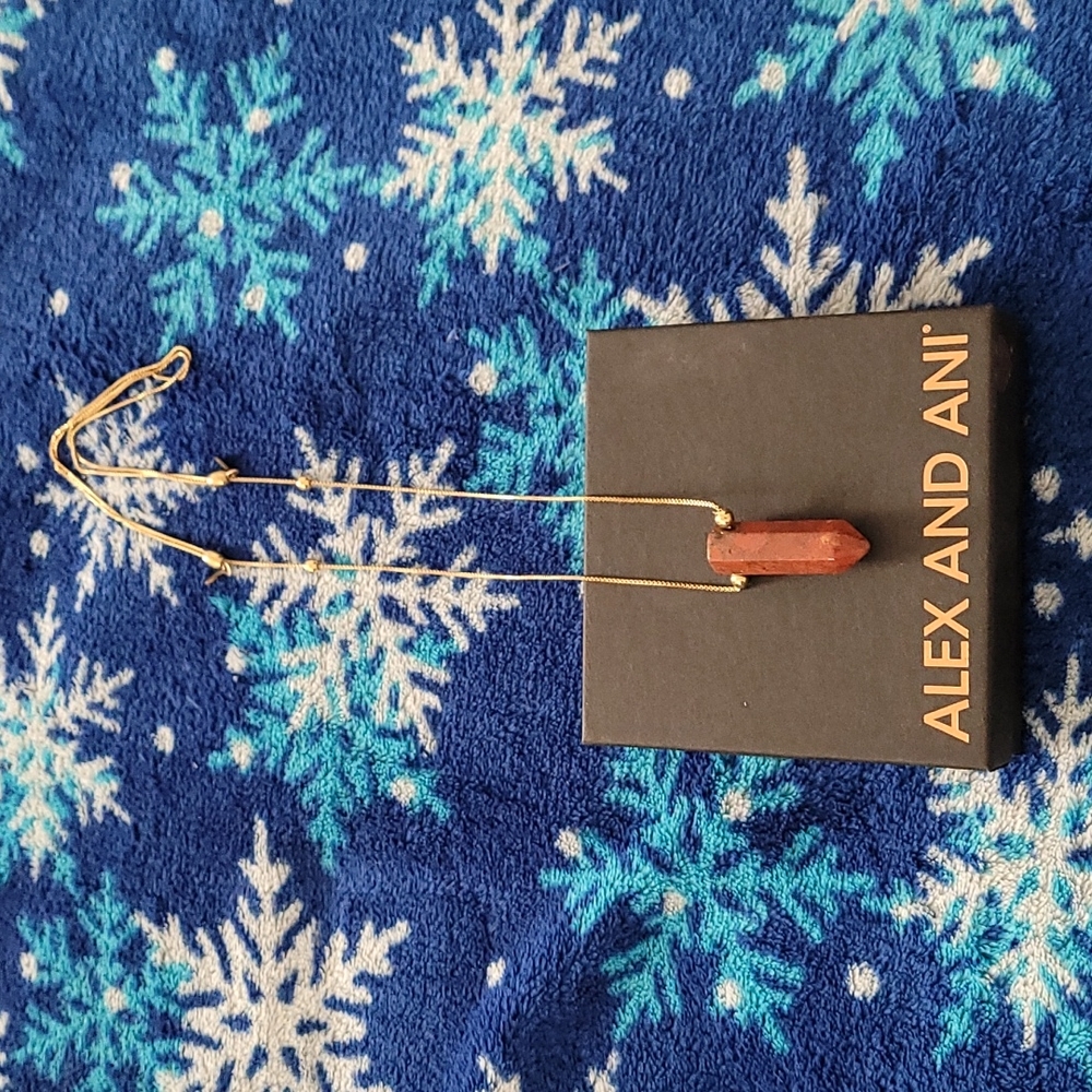Alex and Ani Red Jasper Pendant Necklace